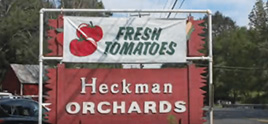 Heckman Orchards