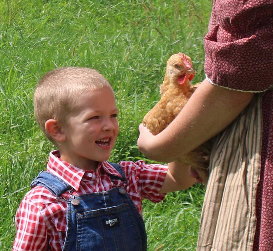 hen house