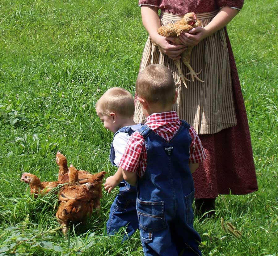 hen house
